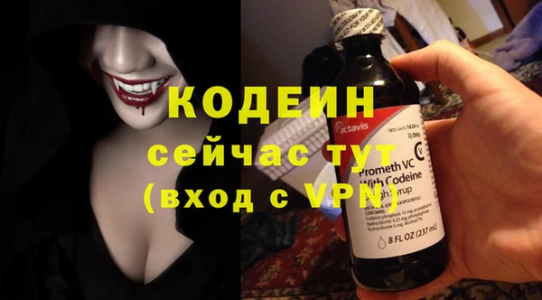 молекула духа Кодинск