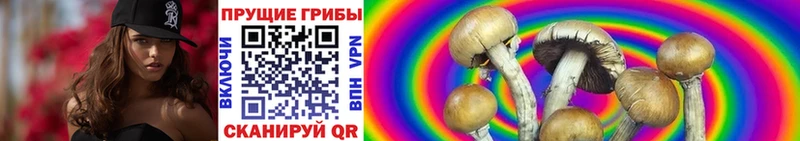 Псилоцибиновые грибы MAGIC MUSHROOMS  ссылка на мегу ссылки  Майский 