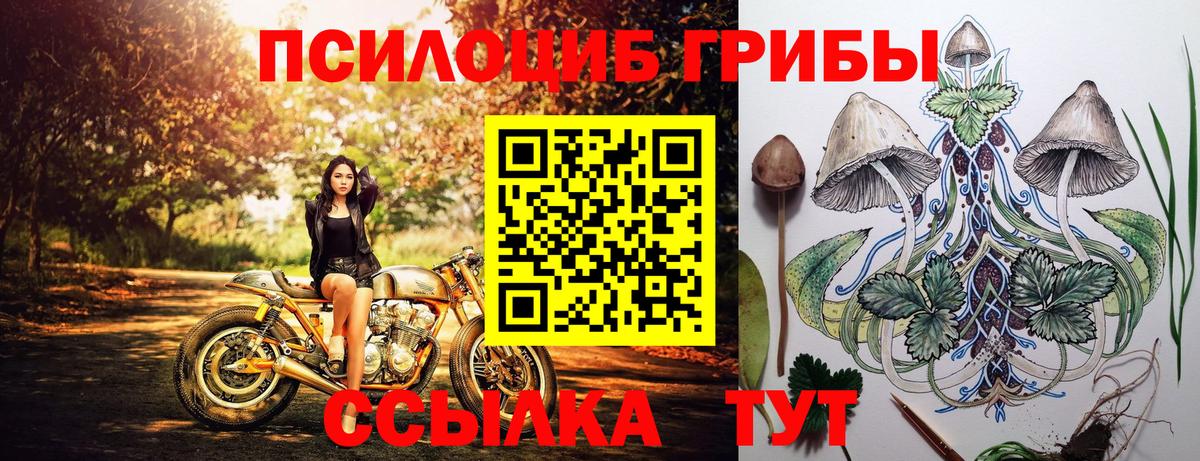 Псилоцибиновые грибы Psilocybine cubensis  Вход с VPN  Майский 