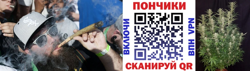 Канабис Amnesia  площадка формула  Майский 
